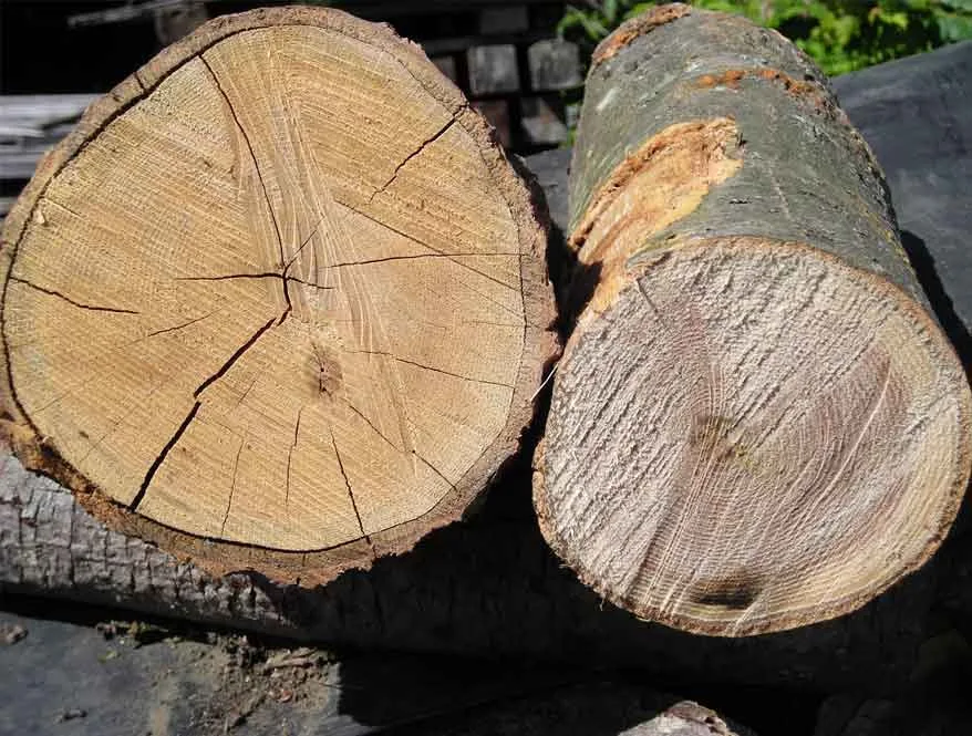 Ahşap karkas yapıların dayanıklılığı ve estetiği ile ilgili detaylar, yapı malzemeleri ve kullanım alanları gösteren görsel.