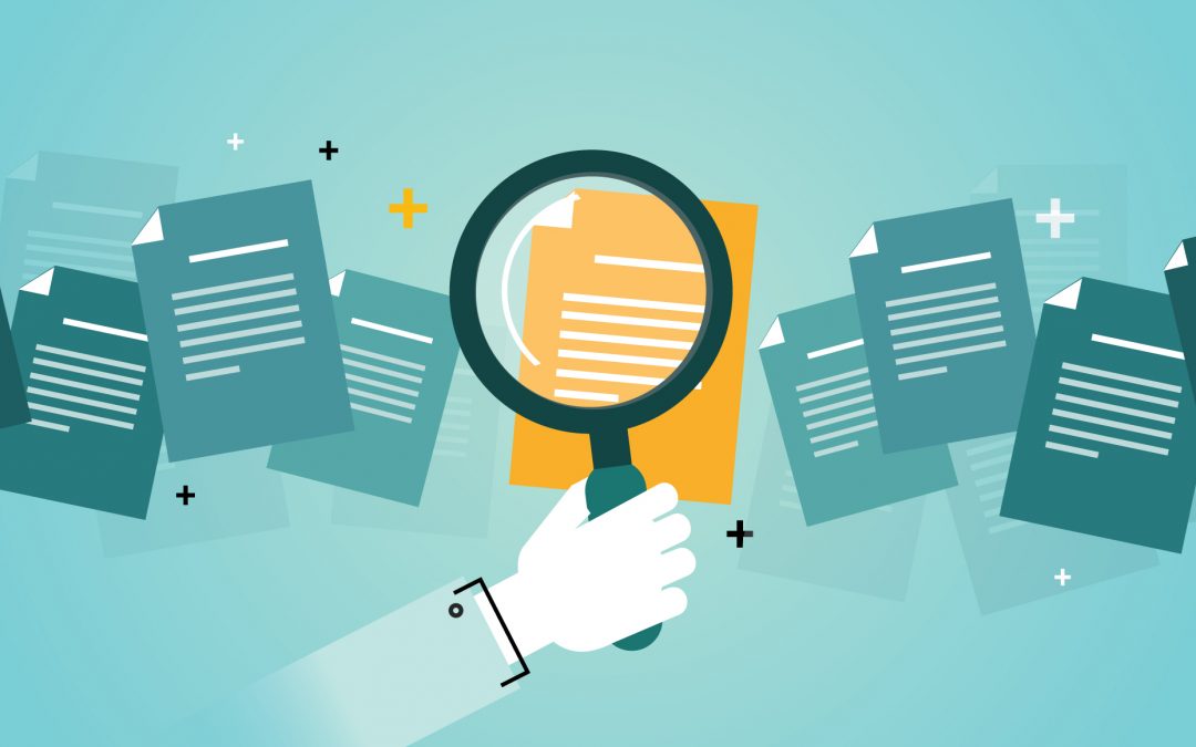 Ruhsat projesi için gerekli belge ve çizimleri düzenleyen mimarlık ofisi ekibi